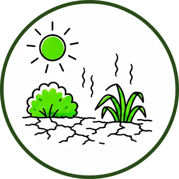 Ilustración de líneas de un sol intenso sobre plantas que crecen en tierra seca y agrietada